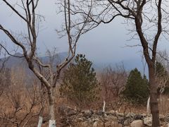 -阳台山自然风景区