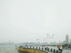 -星海蹦极娱乐