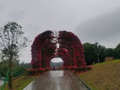 -东莞植物园