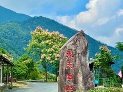 -东天目山风景区