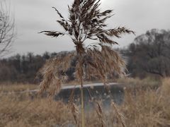-野鸭湖国家湿地公园