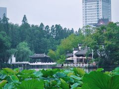 -浮庄