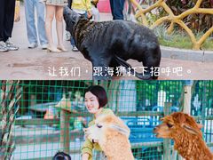 -灵玲国际马戏城