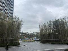 -深圳国际会展中心洲际酒店