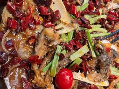 -老板恋上鱼(恒隆广场店)