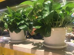 -丰茂烤串(卫星广场店)