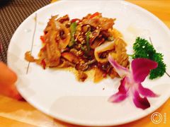 -酒久自助料理(佳兆业店)