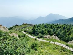 -白草畔自然风景区