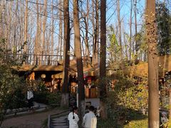 -林间山庄