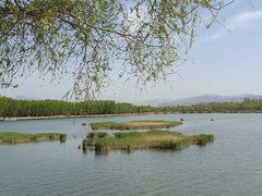 -野鸭湖国家湿地公园