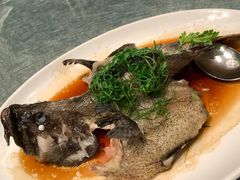 -金苑海鲜酒家(来魅力店)