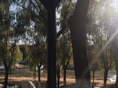 -青龙湖公园