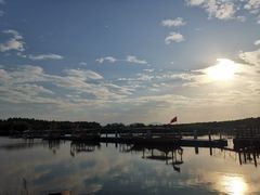 -大湾区中央湿地公园