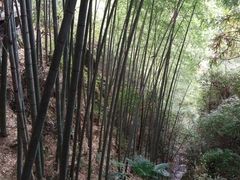 -南尖岩景区