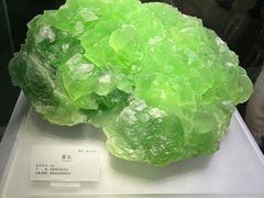 -湖南省地质博物馆