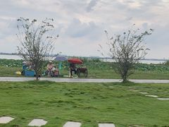 -七的湖·晚芳亭·阳澄湖农家菜·大闸蟹(莲花岛店)