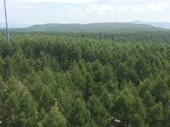 -塞罕坝国家级自然保护区