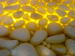 -香港鸳鸯王(西湖路店)