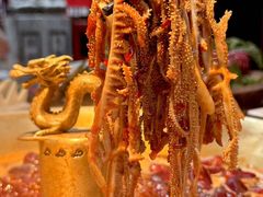 -小龙翻大江文化火锅(宽窄店)