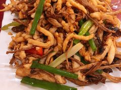 茶树菇炒鸡丝-大眼锅贴水饺(河东店)