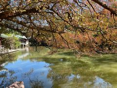 -江心屿景区