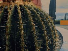 -漳州滨海火山岛自然生态风景区