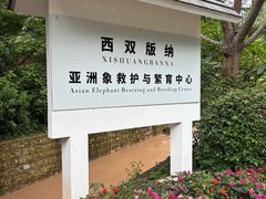 -野象谷景区