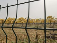 -北京鹿世界主题园