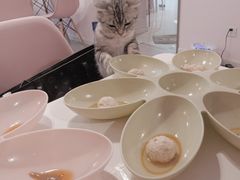 -三花喵·撸猫购宠·宠物生活馆(虹桥南丰城店)