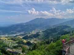 -紫鹊界梯田景区