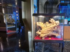 -索拉古贝(义乌北苑店)
