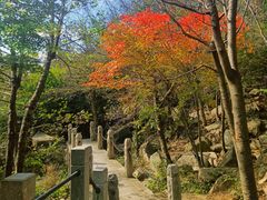 -崂山巨峰游览区