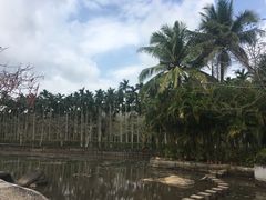 -红色娘子军纪念园