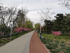 -绿堤公园