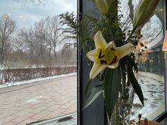 -黎弯德咖啡(南公园店)