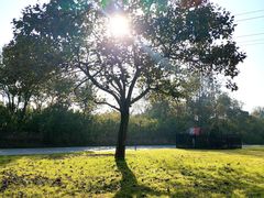 -汉长安城未央宫国家考古遗址公园