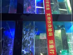-全乐鱼馆·淳牌有机鱼直营店