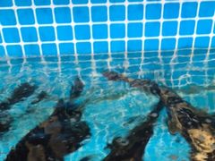 水产区-三亚相缘海鲜·烧烤·糟粕醋(三亚湾店)