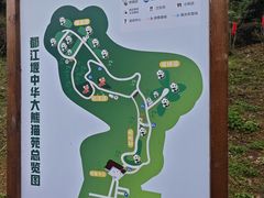 -都江堰中华大熊猫苑