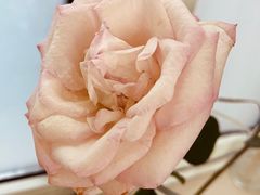 -黄浦区瑞金二路社区文化活动中心