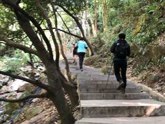 -火炉山森林公园