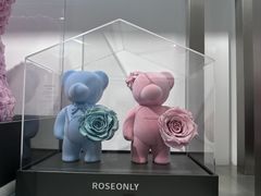 -ROSEONLY诺誓(广州K11店)