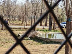 -秦皇岛野生动物园