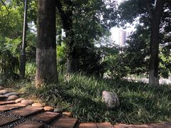 -成都市活水公园