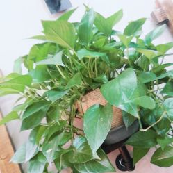 -XY形象设计/烫发·染发·接发