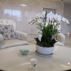 -美丽田园