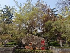 -莲湖公园