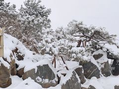 -潭柘寺景区