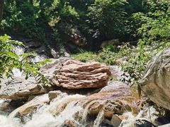 -黑龙潭风景区