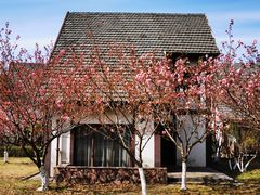 -太阳岛度假酒店